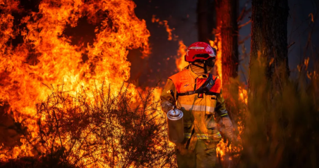 Hundreds arrested over French wildfires, but who is to blame?
