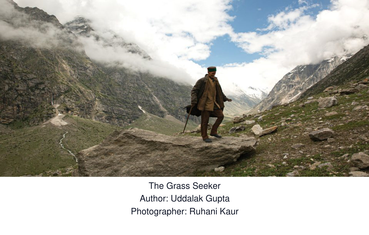 The Grass Seeker