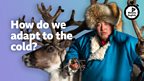 How do we adapt to the cold?